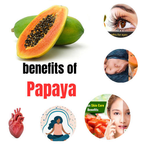 Papaya 1 benefits of PAPAYA
